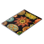 Zee vierkant notitieboek (Linkerzijde)