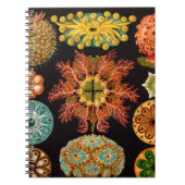 Zee vierkant notitieboek (Voorkant)