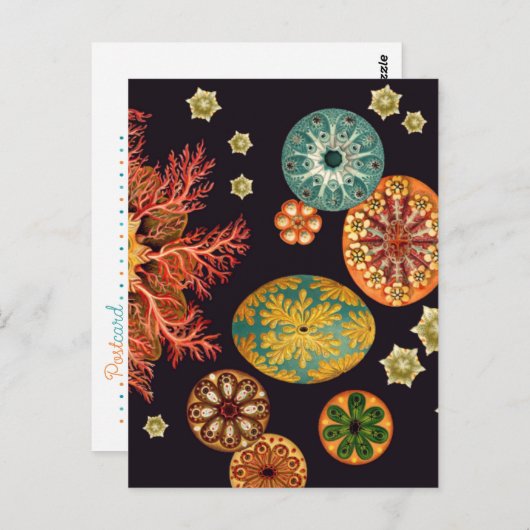 Zee vierkant reix Briefkaart (Voorkant / Achterkant)