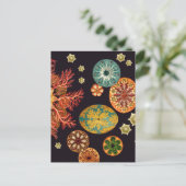 Zee vierkant reix Briefkaart (Staand voorkant)