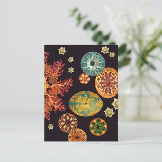 Zee vierkant reix Briefkaart (Staand voorkant)