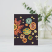 Zee vierkant reix Briefkaart (Staand voorkant)