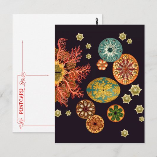 Zee vierkant reix Briefkaart (Voorkant / Achterkant)