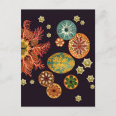 Zee vierkant reix Briefkaart (Voorkant)