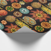 Zee vierkant, verpakt papier (Hoek)