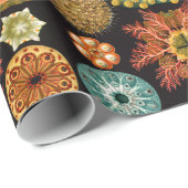 Zee vierkant, verpakt papier (Rol Hoek)