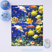 zee vis flyer (Enkel)