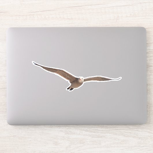  Zee Vogelmeeuw in Vlucht Uitgesneden Sticker (Computer)