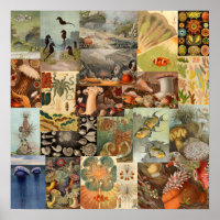  Zee voor het  Muur van de Muur van de Maritieme K