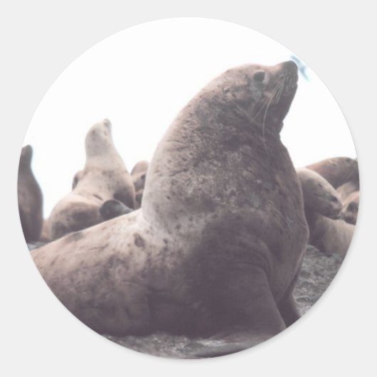 Zee voor verkopers ronde sticker (Voorkant)