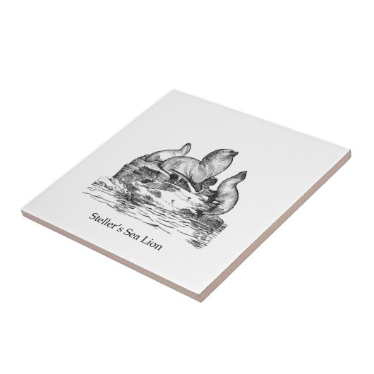 Zee voor verkopers tegeltje (Zijkant)