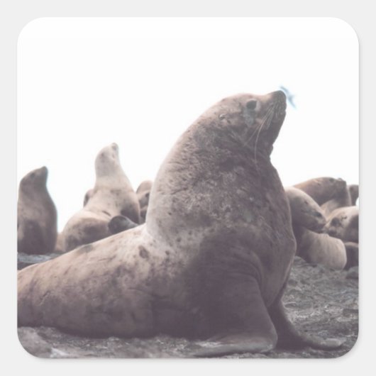 Zee voor verkopers vierkante sticker (Voorkant)