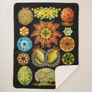 zee voor zee levenskwaliteit afdrukken sherpa deken