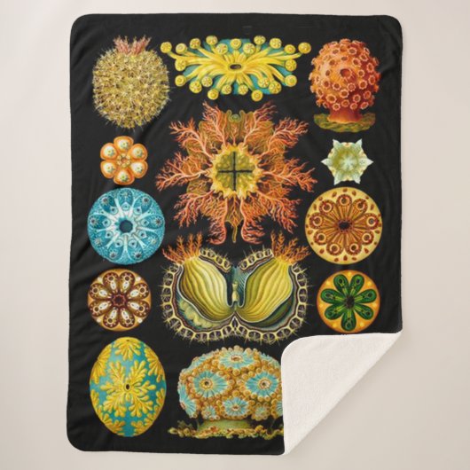 zee voor zee levenskwaliteit afdrukken sherpa deken (Voorkant)