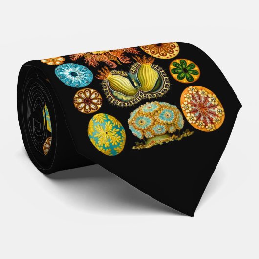 zee voor zee levenskwaliteit afdrukken stropdas (Opgerold)