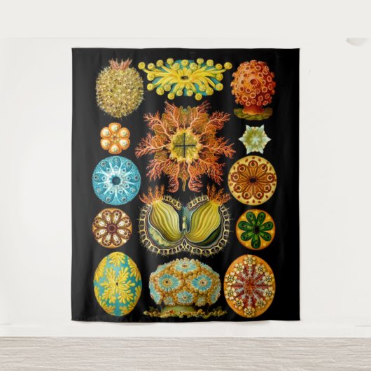 zee voor zee levenskwaliteit afdrukken wandkleed (Voorkant)