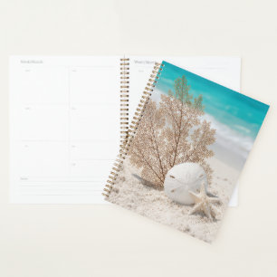 Zee waaier met zand dollar en zeester planner