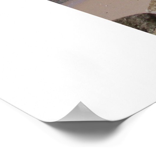 Zee wandwandelen, Rota Spanje Poster (Hoek)