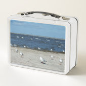 zee, water, zeemeeuw, vogel, reizen, blauw, lucht, (Achterkant)