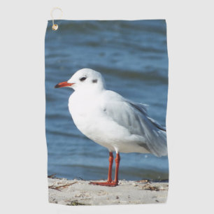 zee, water, zeemeeuw, vogel, reizen, blauw, lucht, golfhanddoek