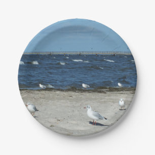 zee, water, zeemeeuw, vogel, reizen, blauw, lucht, papieren bordje