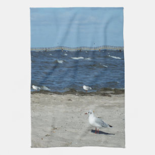 zee, water, zeemeeuw, vogel, reizen, blauw, lucht, theedoek