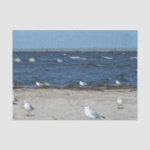 zee, water, zeemeeuw, vogel, reizen, blauw, lucht, tissuepapier
