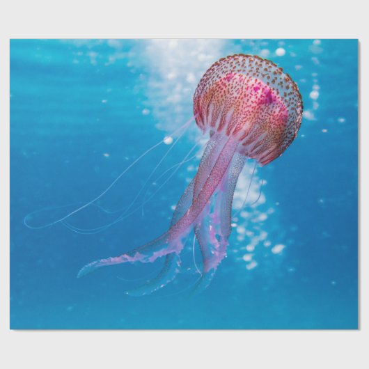 Zee Waves Cadeaupapier (Vlak)