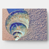 Zee Welk Seashell Fotoplaat (voorkant)