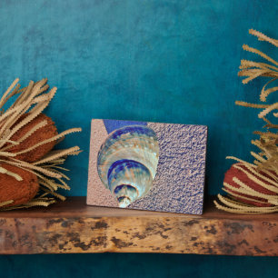 Zee Welk Seashell Fotoplaat