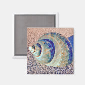 Zee Welk Seashell Magneet (Voorkant / Achterkant)