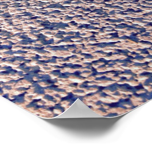 Zee Welk Seashell Poster (Hoek)