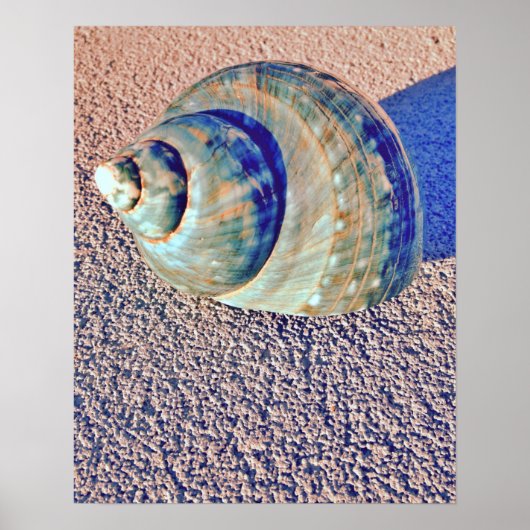 Zee Welk Seashell Poster (Voorkant)