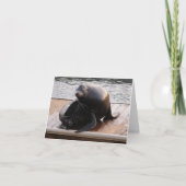 Zee Wenskaart leeuw Kaart (Voorkant)