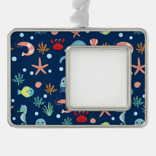 Zee wereld verzilverd omlijst ornament (Voorkant)