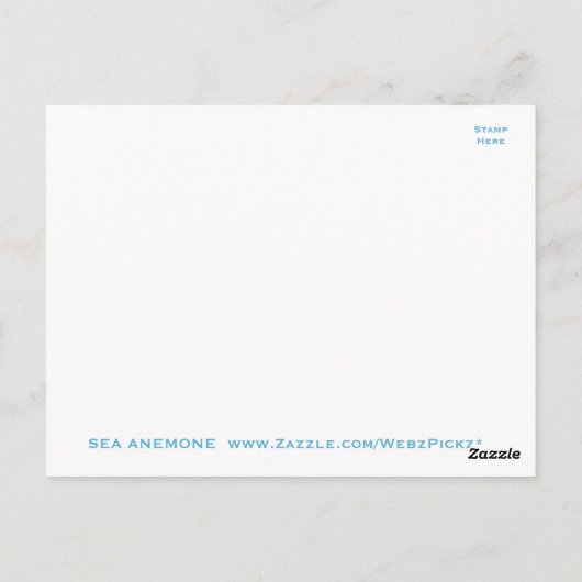 Zee Zee Anemone Briefkaart (Achterkant)
