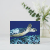 Zee - Zee schildpad Briefkaart (Staand voorkant)