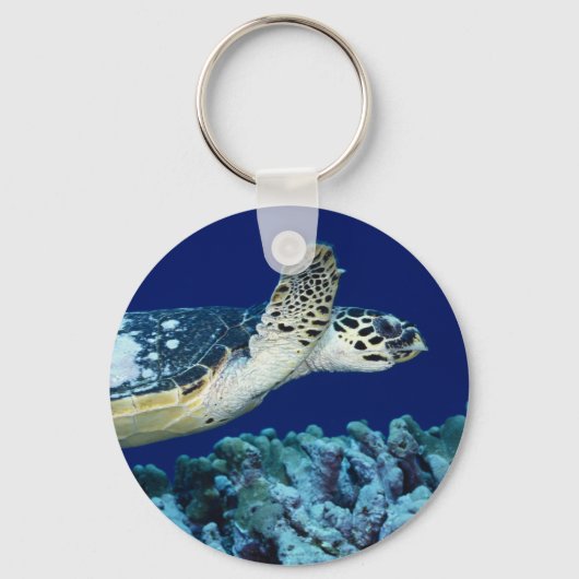 Zee - Zee schildpad Sleutelhanger (Voorkant)