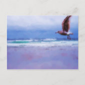 Zee zigeuner Briefkaart (Voorkant)