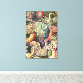 Zeeanemonen, Actiniae Seeanemonen Ernst Haeckel Canvas Afdruk (Insitu (Houten vloer))