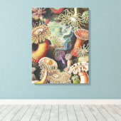 Zeeanemonen, Actiniae Seeanemonen Ernst Haeckel Canvas Afdruk (Insitu (Houten vloer))