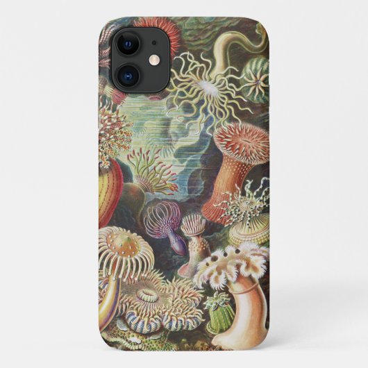 Zeeanemonen, Actiniae Seeanemonen Ernst Haeckel Case-Mate iPhone Case (Achterkant)