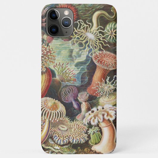 Zeeanemonen, Actiniae Zeeanemonen Ernst Haeckel Case-Mate iPhone Case (Achterkant)