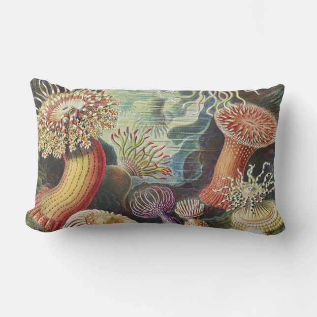 Zeeanemonen, Actiniae Zeeanemonen Ernst Haeckel Kussen (Voorkant)