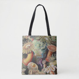 Zeeanemonen, Actiniae Zeeanemonen Ernst Haeckel Tote Bag