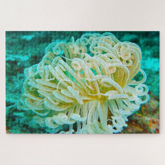 Zeeanemonen Legpuzzel (Horizontaal)