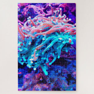 Zeeanemonen Legpuzzel