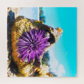 Zeeanemonen Legpuzzel (Horizontaal)