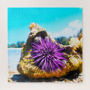Zeeanemonen Legpuzzel