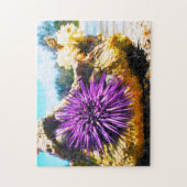Zeeanemonen Legpuzzel (Verticaal)
